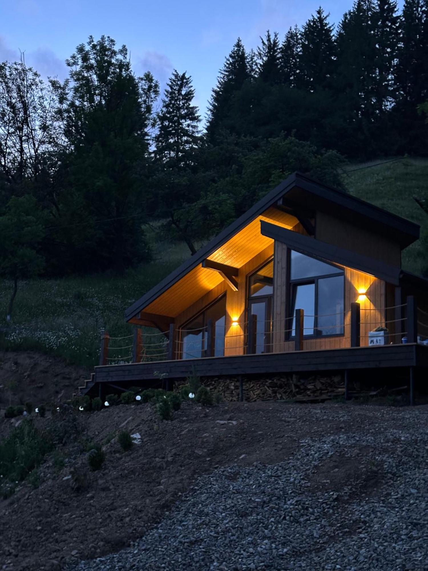 Petrick House Διαμέρισμα Verkhovyna Εξωτερικό φωτογραφία